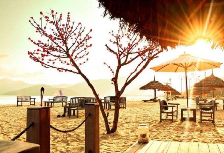 Thanh Linh Hotel Quy Nhon Eksteriør bilde